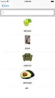 russian words (nouns) iphone screenshot 2