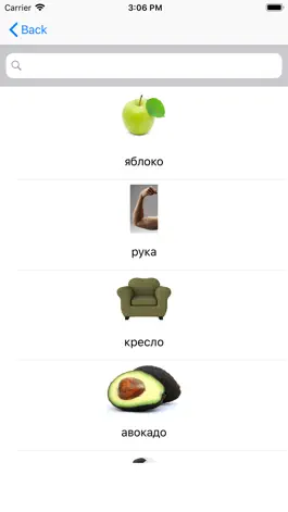 Game screenshot Russian Words (nouns) apk
