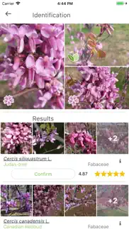 plantnet iphone screenshot 2
