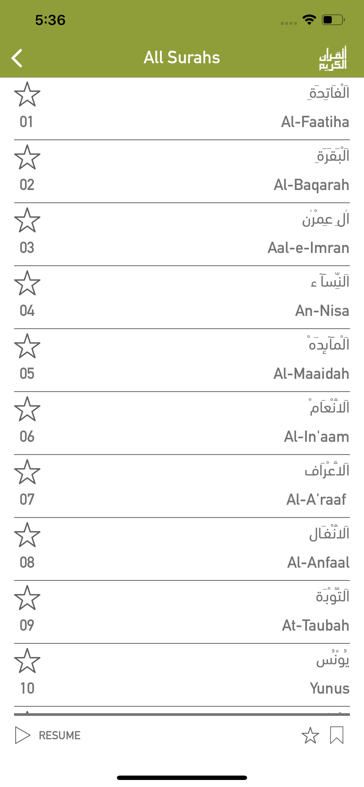 Quraan-E-Karim (13 Lines)
