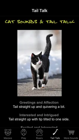 Game screenshot Cat Sounds & Tail Talk apk