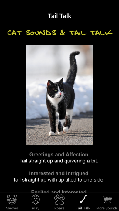 Cat Sounds & Tail Talkのおすすめ画像2