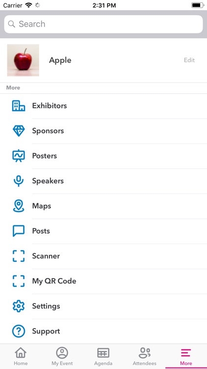 Airport IT & Security 2019