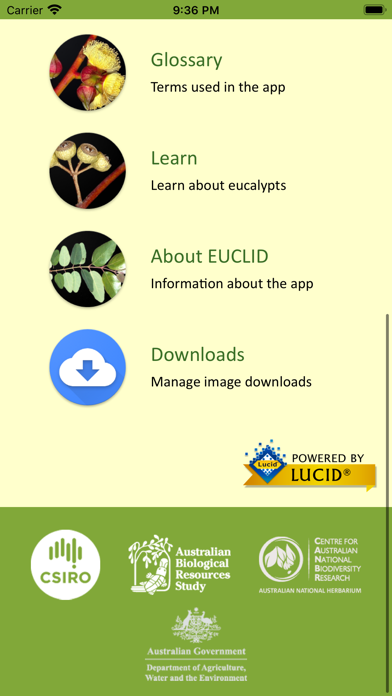 EUCLID Eucalypts of Australia Screenshot