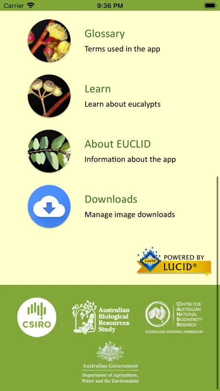 EUCLID Eucalypts of Australia screenshot 2 of 7