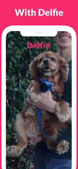 Game screenshot Dog Selfie Camera - Delfie apk