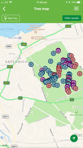 British tree identification screenshot