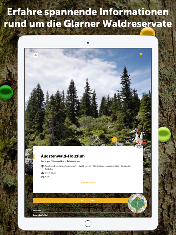 Screenshot #5 pour Glarner Waldperlen