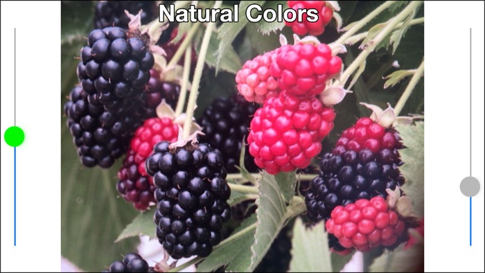 Color Mate - Colour blind help