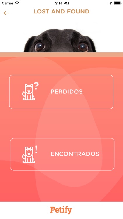 Petify. Love for Pets screenshot-6