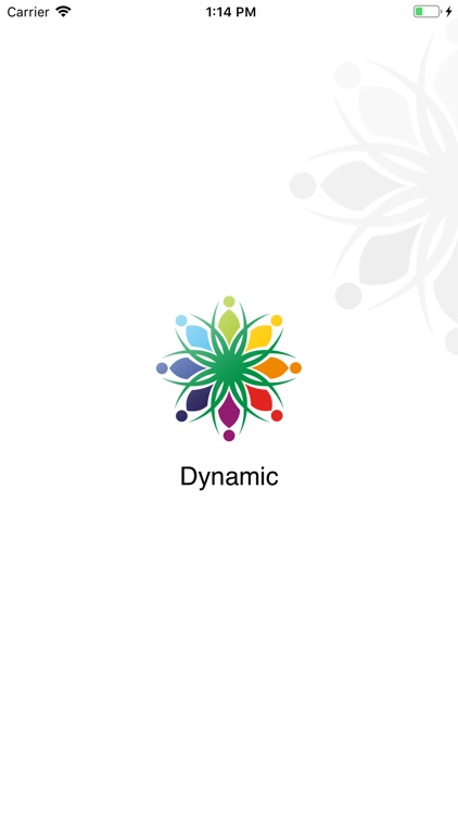 Dynamic Organization