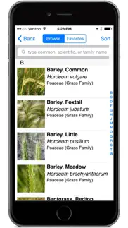 montana grasses iphone screenshot 4