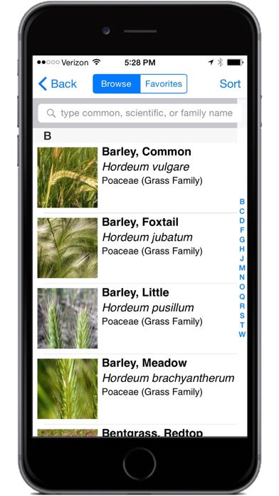 Montana Grasses Screenshot