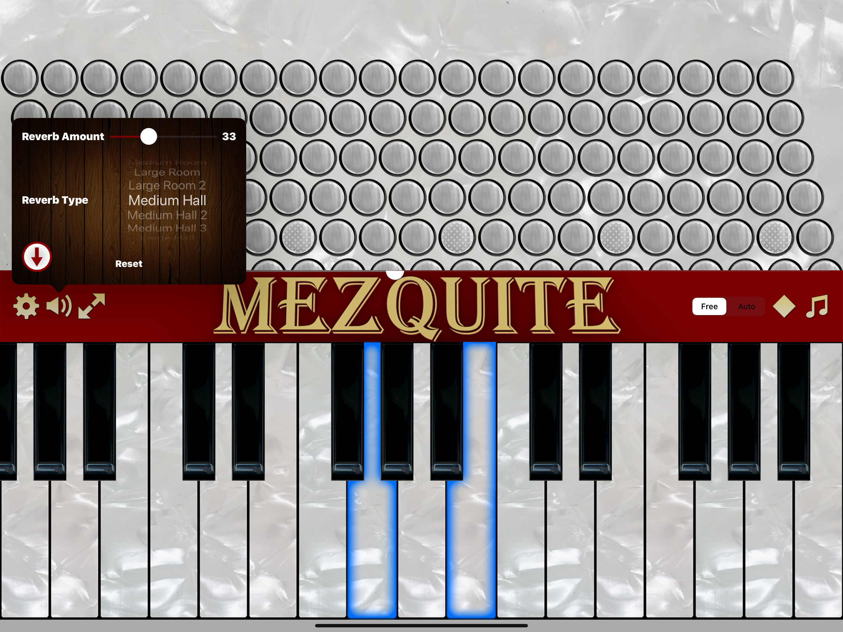 Mezquite Piano Accordion