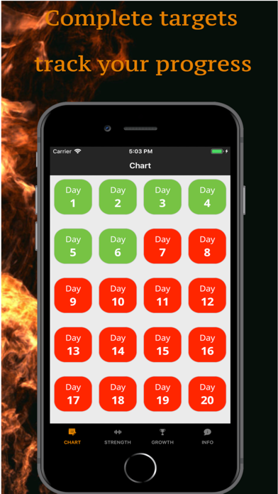 Bigger Men - Gym workouts plan Screenshot