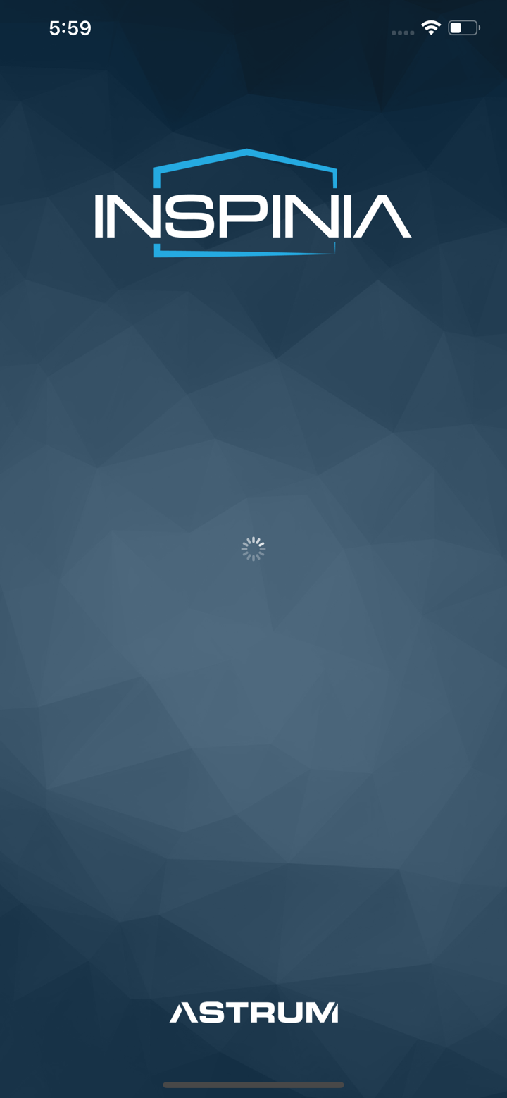 Inspinia screenshot 1