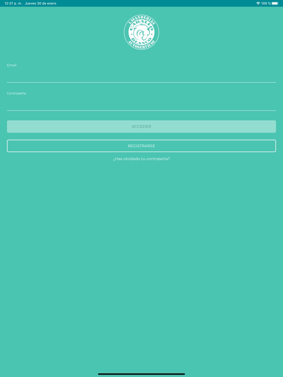 iPad screenshot
