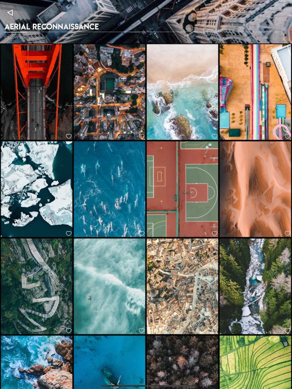 Kuvik Wallpapers iPad screenshot 2 - Entertainment app