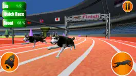 Game screenshot Dog Crazy Race Simulator 2023 apk