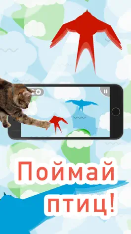 Game screenshot Игры для кошек! hack