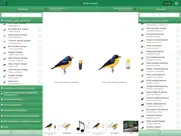 birds of brazil ipad resimleri 3