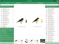 Birds of Brazil ipad bilder 2