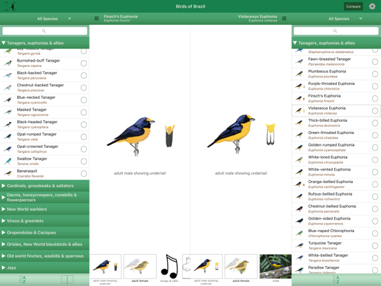 Screenshot #6 pour Birds of Brazil