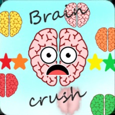 Activities of Brain Crush!