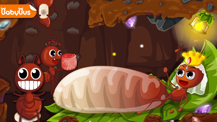 Ant Colonies-BabyBus