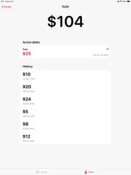 OweMe - Debt Tracker ipad bilder 2