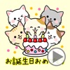 動く！大人かわいい誕生日&おめでとう - iPadアプリ