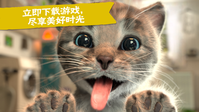 应用截图 5