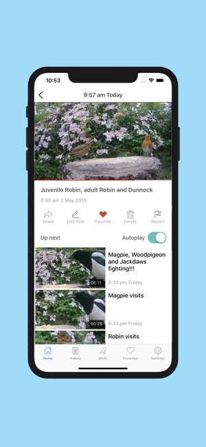 Birdsy(圖3)-速報App
