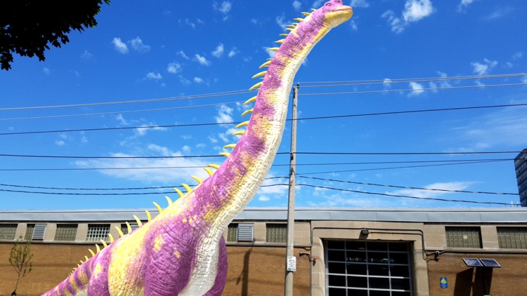 Dino Dan: Dino Cam screenshot-3