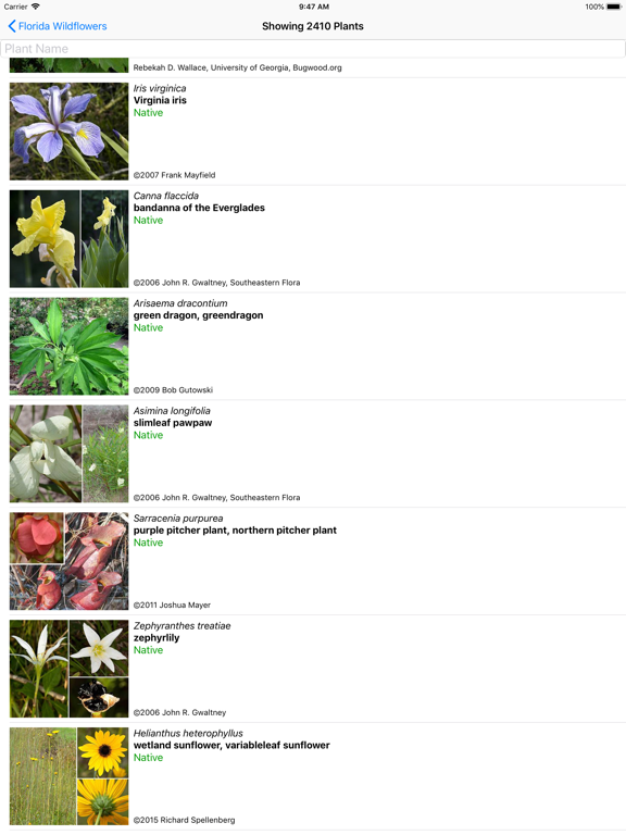 Screenshot #5 pour Florida Wildflowers