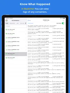 Kuber - Kubernetes Dashboard iPad image 3
