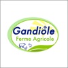 Ferme Gandiole