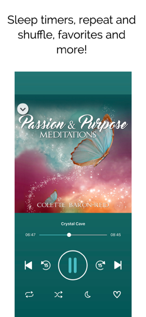 ภาพหน้าจอของ Passion & Purpose Meditations