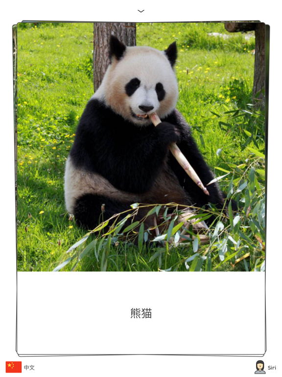 Screenshot #4 pour 2岁学说话