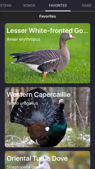 Bird Sounds and Bird Calls iphone bilder 0
