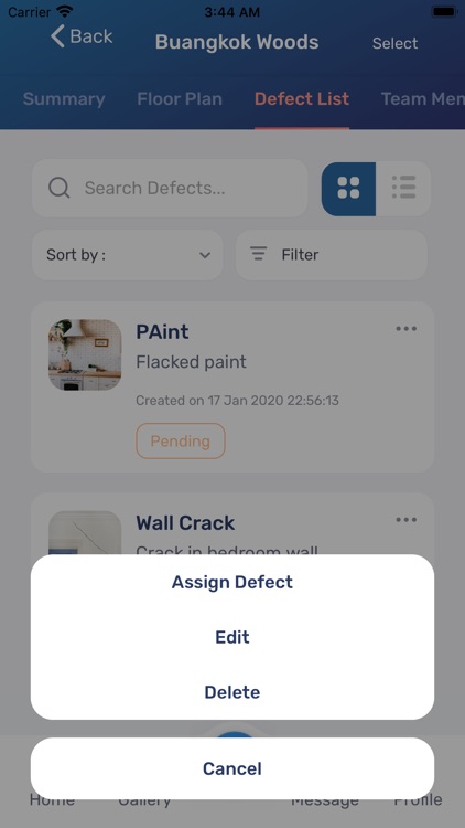 SnapDefects screenshot-9
