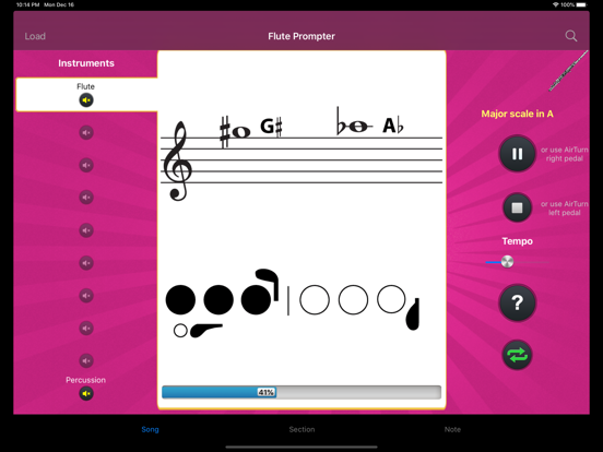 Screenshot #5 pour Flute Prompter