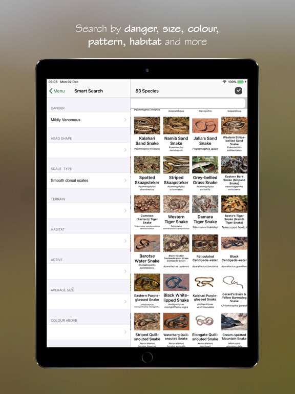 Screenshot #5 for eSnakes Southern Africa