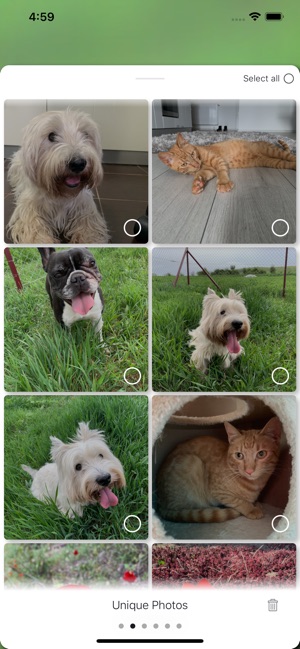 PicDot(圖3)-速報App