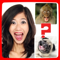 Funny Animals Mimics