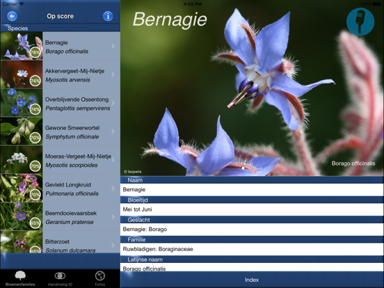 Wilde Bloemen Id NL iPad app afbeelding 2