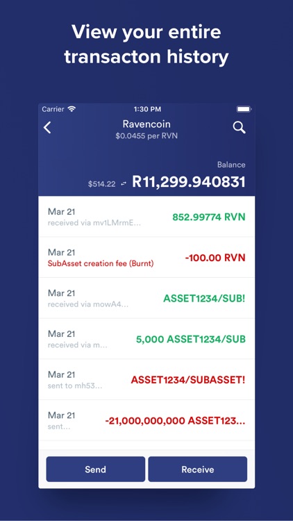 RVN Wallet screenshot-6