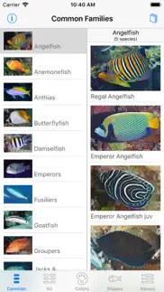 deep blue divers fish guide iphone screenshot 2