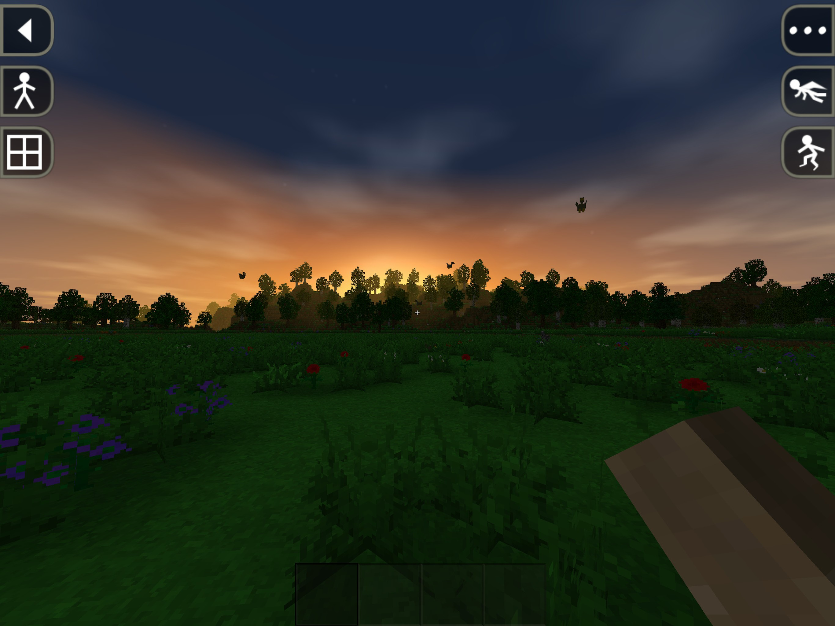 Survivalcraft Day One screenshot 9