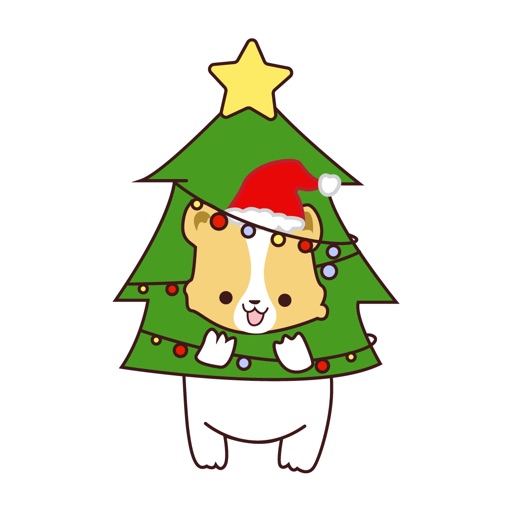 Corgi at Christmas icon